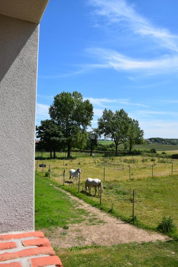 Le Clos De L'Angley Gites Et Ecurie Caffiers Exteriör bild