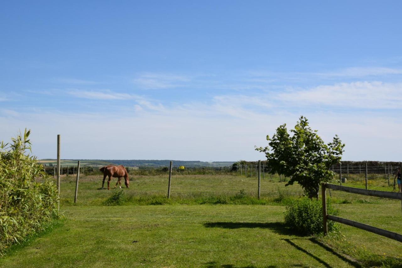 Le Clos De L'Angley Gites Et Ecurie Caffiers Exteriör bild