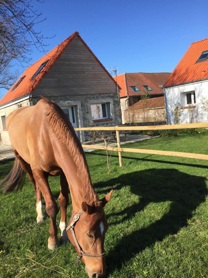 Le Clos De L'Angley Gites Et Ecurie Caffiers Exteriör bild