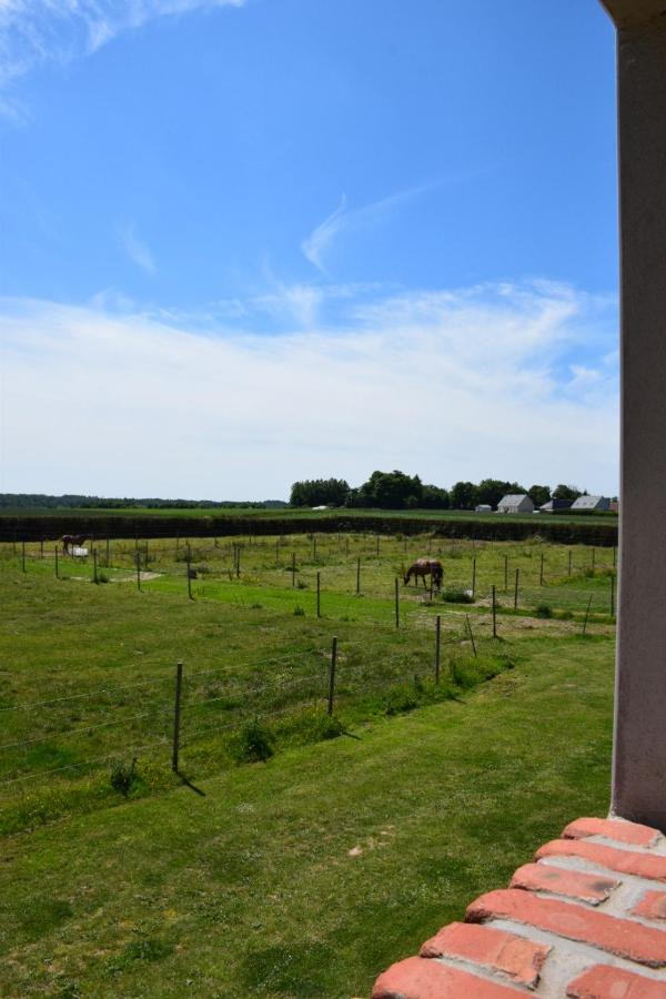 Le Clos De L'Angley Gites Et Ecurie Caffiers Exteriör bild