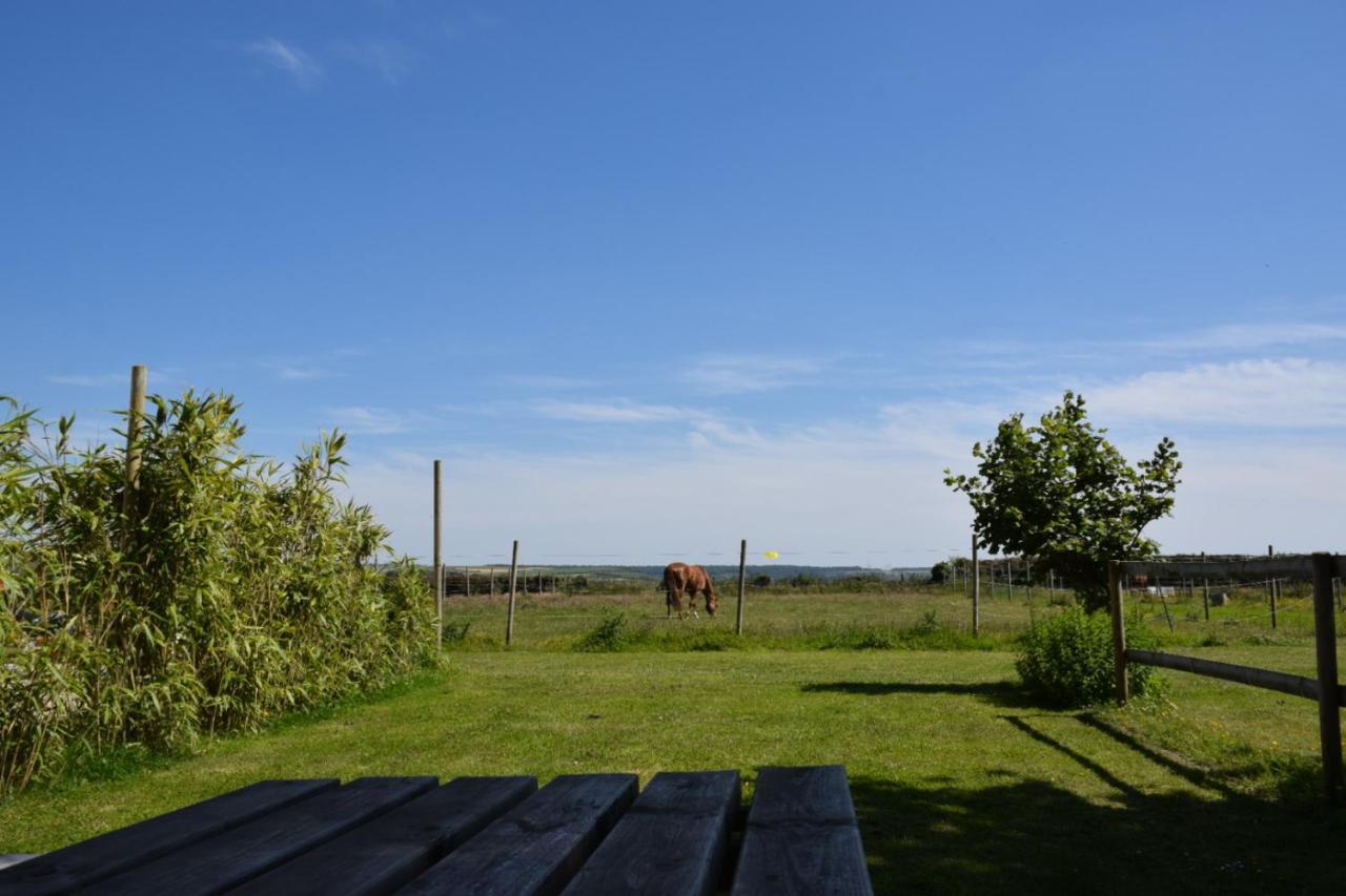 Le Clos De L'Angley Gites Et Ecurie Caffiers Exteriör bild