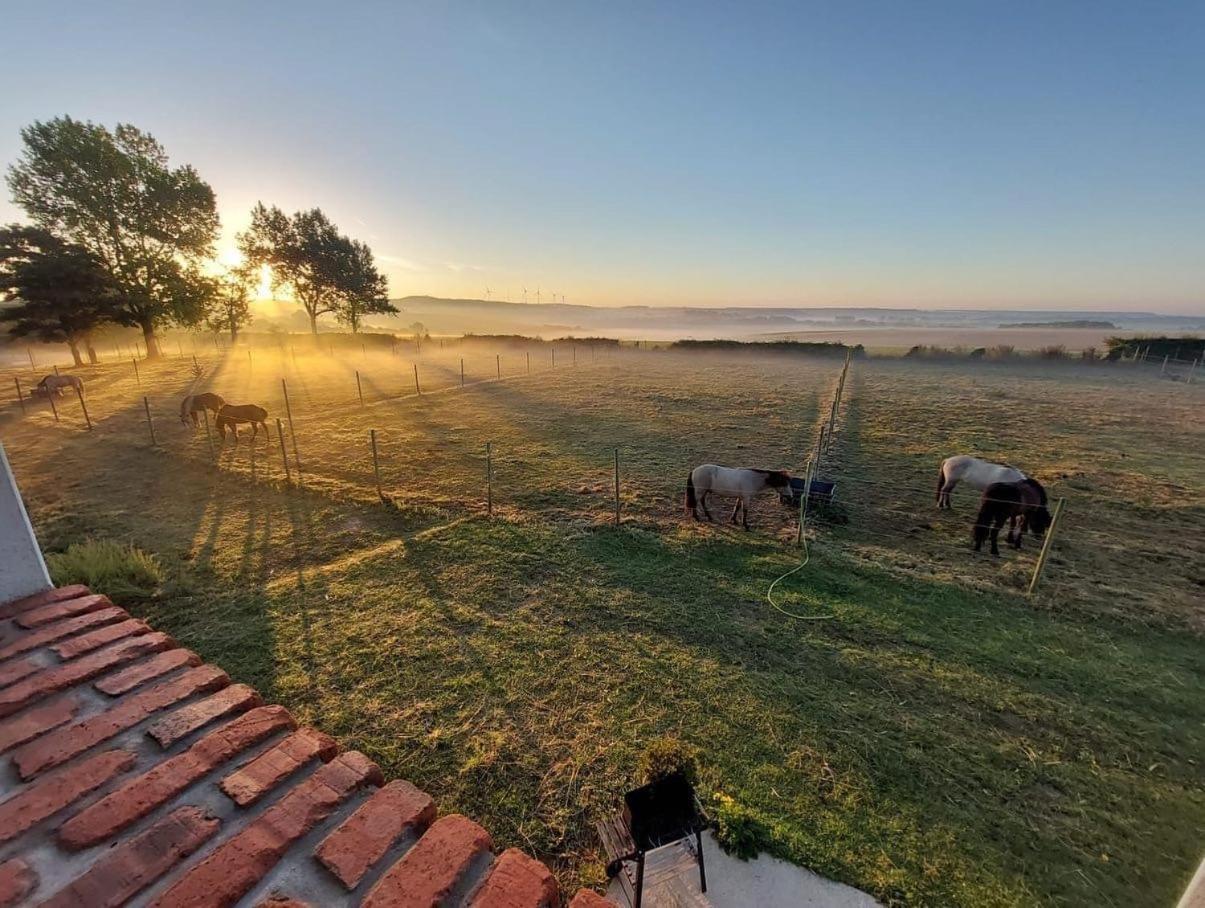 Le Clos De L'Angley Gites Et Ecurie Caffiers Exteriör bild